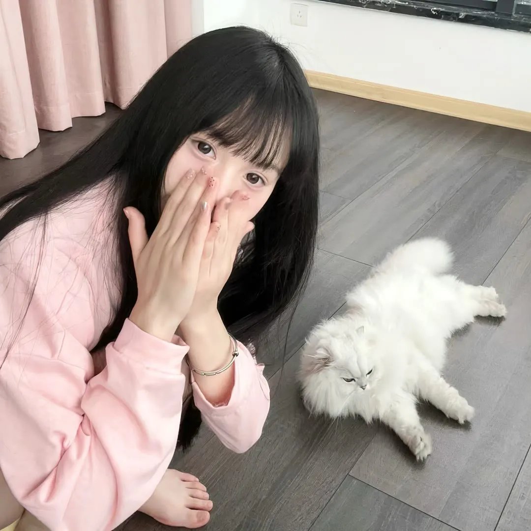 弗雷达